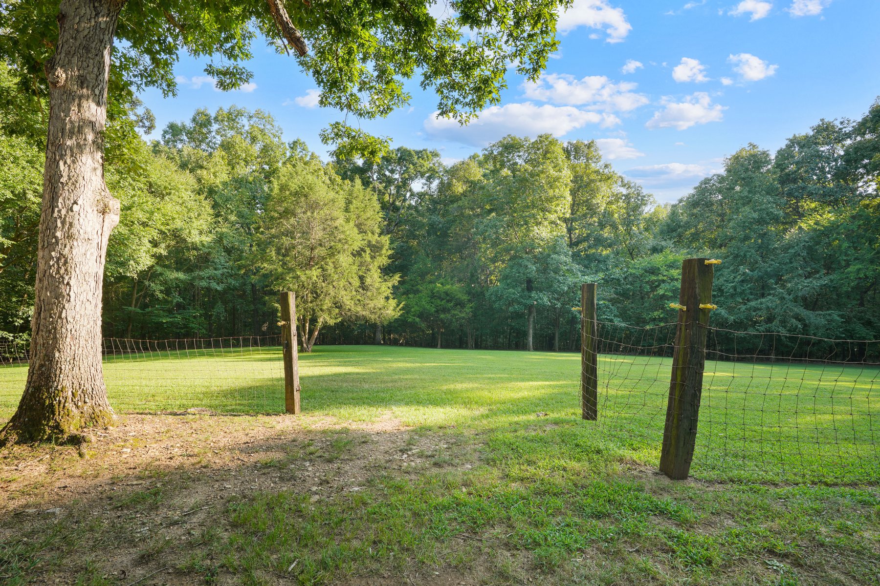 Fenced open pasture with mature hardwoods